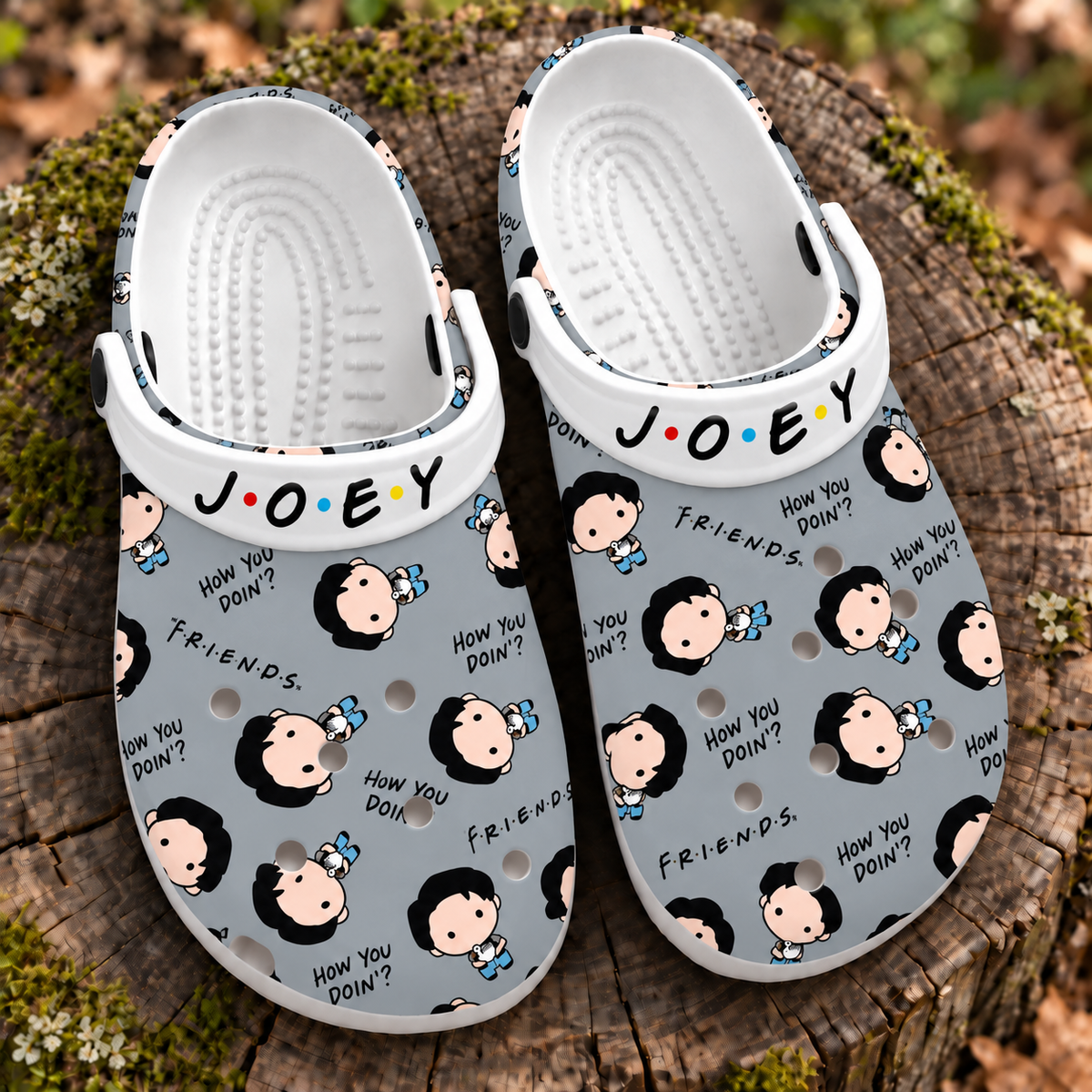 Friends Joey Tribbiani Clogs, How You Doin’ Quote Slip-On Shoes